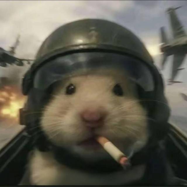 kskky123's avatar